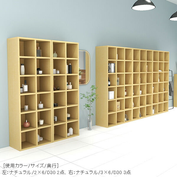 薄型　文庫本用本棚 本棚 完成品 幅26.2cm 薄型 文庫本収納｜H-001 aino 1×2/D22| オーダー