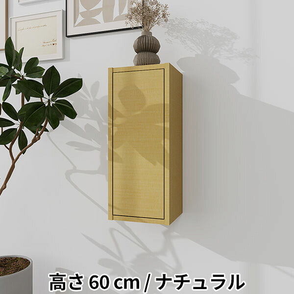 ウォールシェルフ 扉付き 小物収納 壁付け収納 幅24.5cm｜WallBox7-DX